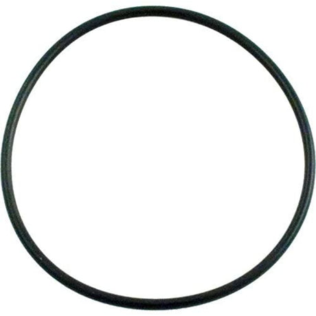 Waterway Diffuser O-Ring #238 | 805-0238