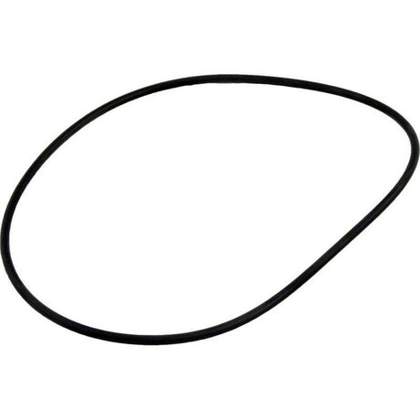 Waterway Lid O-Ring | 805-0254