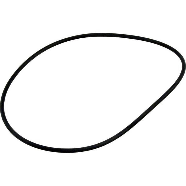 Waterway Lid O-Ring | 805-0254