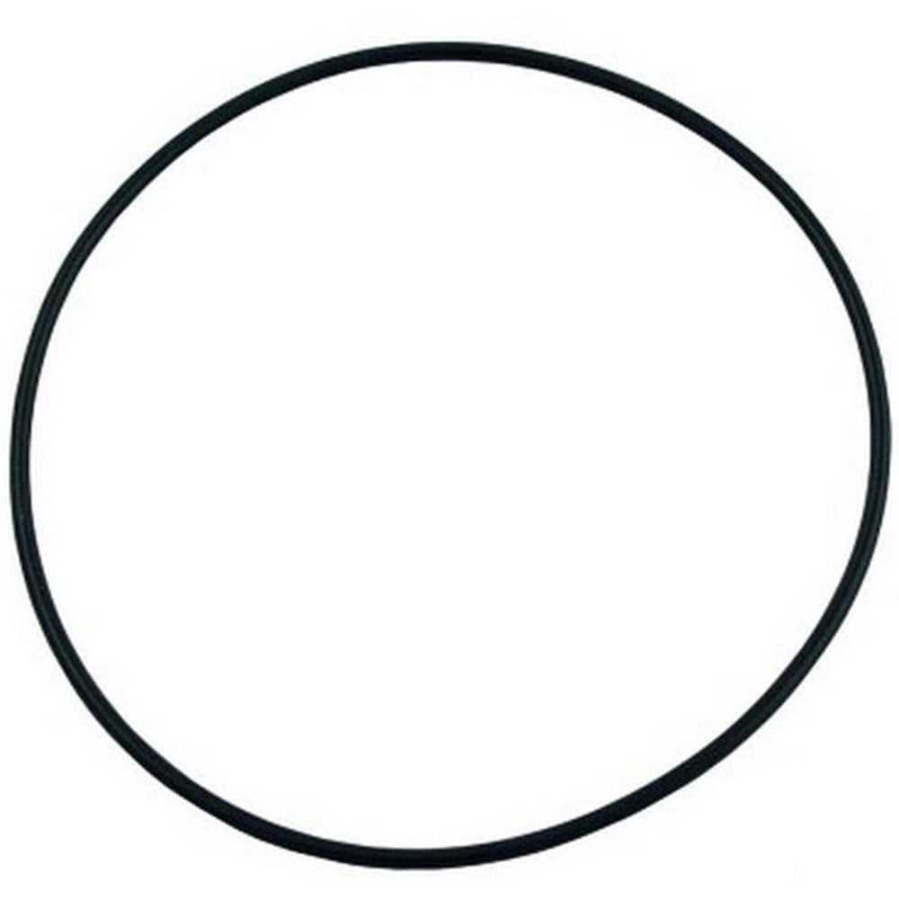 Waterway O-Ring For Hi-Flo Pump | 805-0256 2