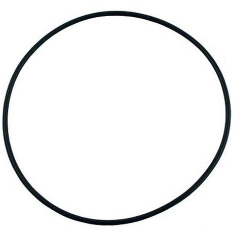 Waterway O-Ring For Hi-Flo Pump | 805-0256 2