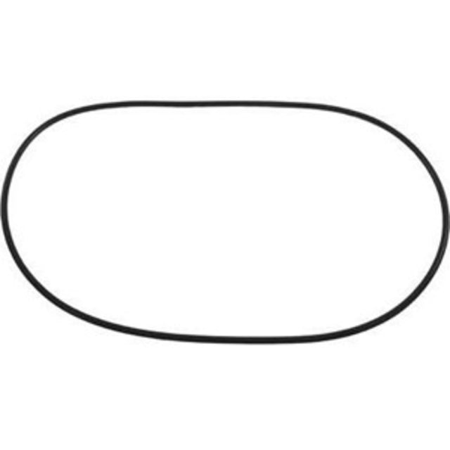 Waterway Clearwater II Lid O-Ring | 805-0460