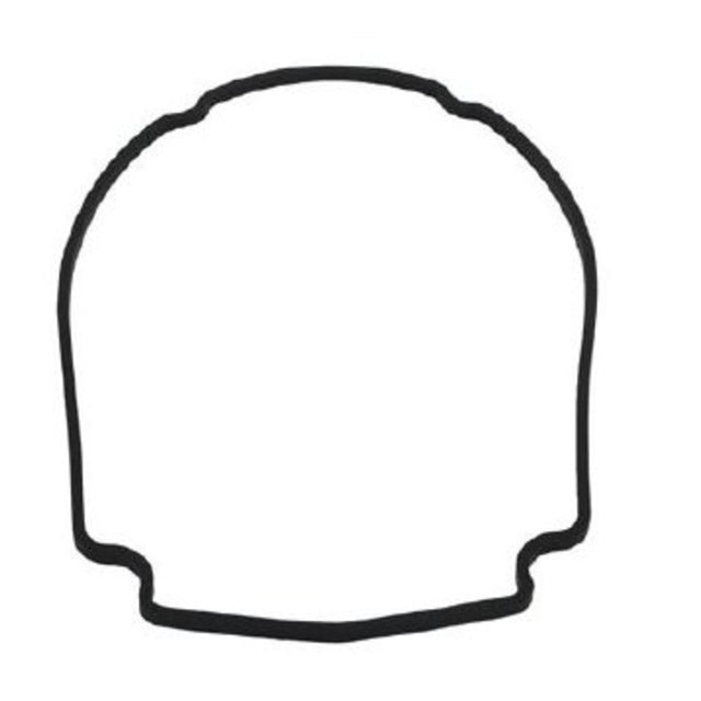 Waterway Pump Faceplate Gasket | 806-1400