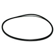 Zodiac Nature2 Professional G Cap O-Ring | W13061