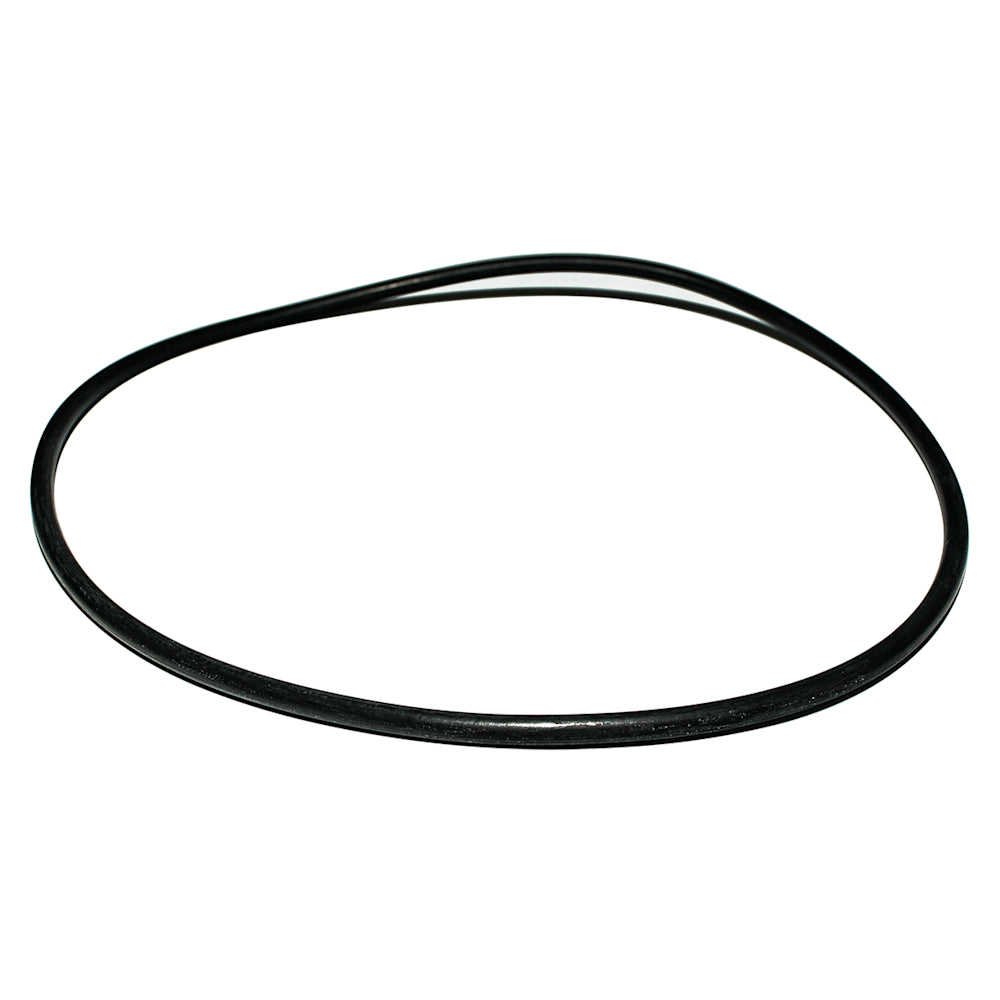 Zodiac Nature2 Professional G Cap O-Ring | W13061