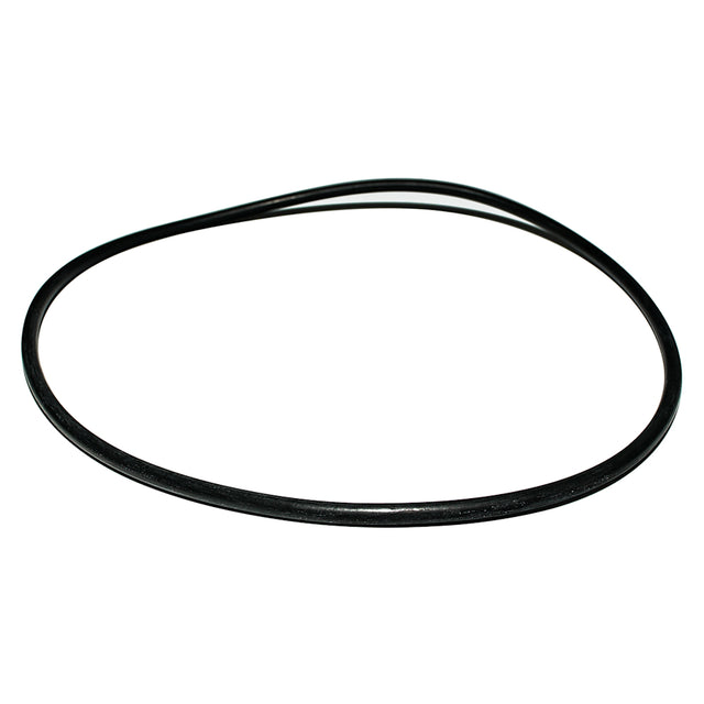 Zodiac Nature2 Professional G Cap O-Ring | W13061
